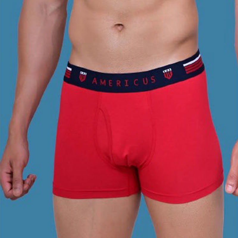 Americus men's brief